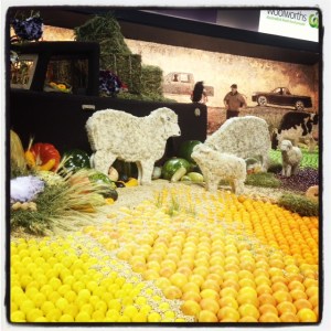 another district display