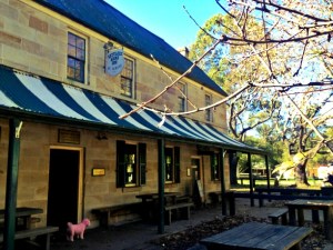 Yes, the dog is pink...