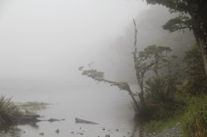 Key Summit. The view on a good day is amazing. Photo by John