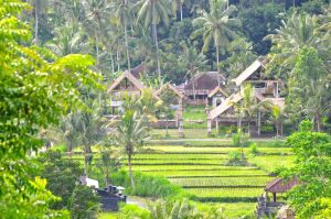 the super long lens was needed for this one...