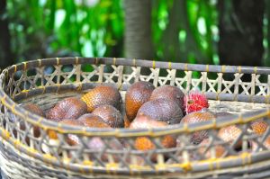 snakefruit- this pic was taken in Dec 2011