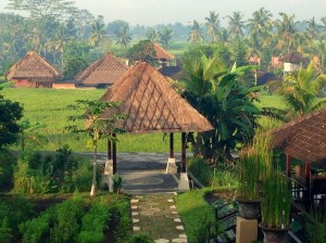 the view from the restaurant