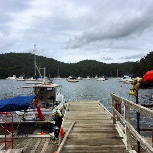 the view from our table