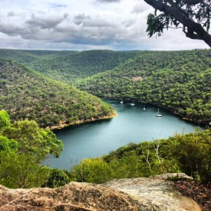 Looking out over Smiths Creek 