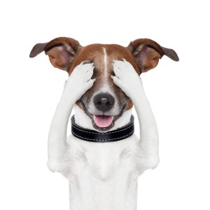 shutterstock_114383710