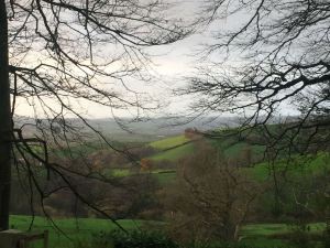 Devon countryside