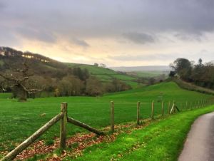 early morning walk in Devon