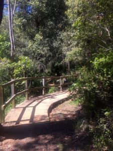 She-Oak Track, Lake Parramatta