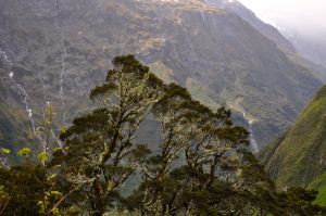 we've come from down there somewhere